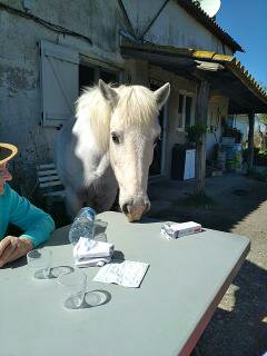 Aire camping-car  Saint-Gilles (30800) - Photo 104